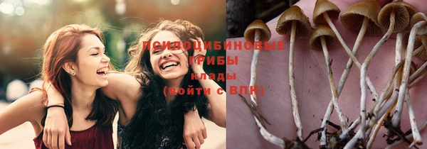 mdma Дмитровск